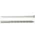 Campking 10x Kartelharing 24cm_