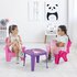 Dolu Unicorn Roze Tafel met Stoeltjes_