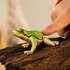 Schleich Wild Life Europese Boomkikker_